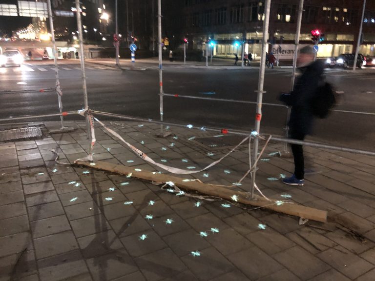 Läs mer om artikeln Myror